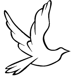 国产三级韩国三级日产三级
